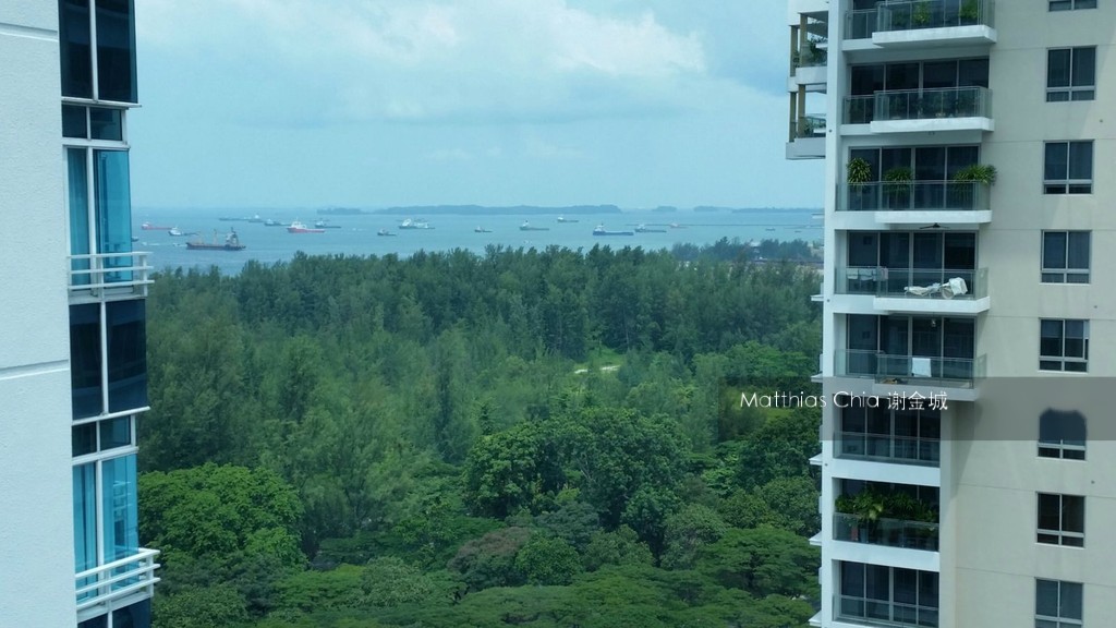 The Atria At Meyer (D15), Condominium #118807602